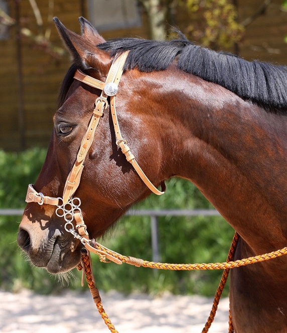 Barefoot® 'Virginia Rose' Headstall  - 3