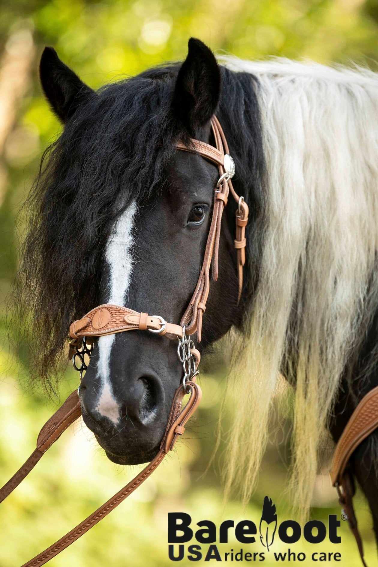 Barefoot® 'Virginia Rose' Headstall  - 2