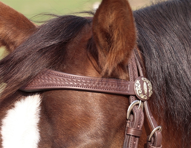 Barefoot®  'Missoula Nut' Headstall  - 3