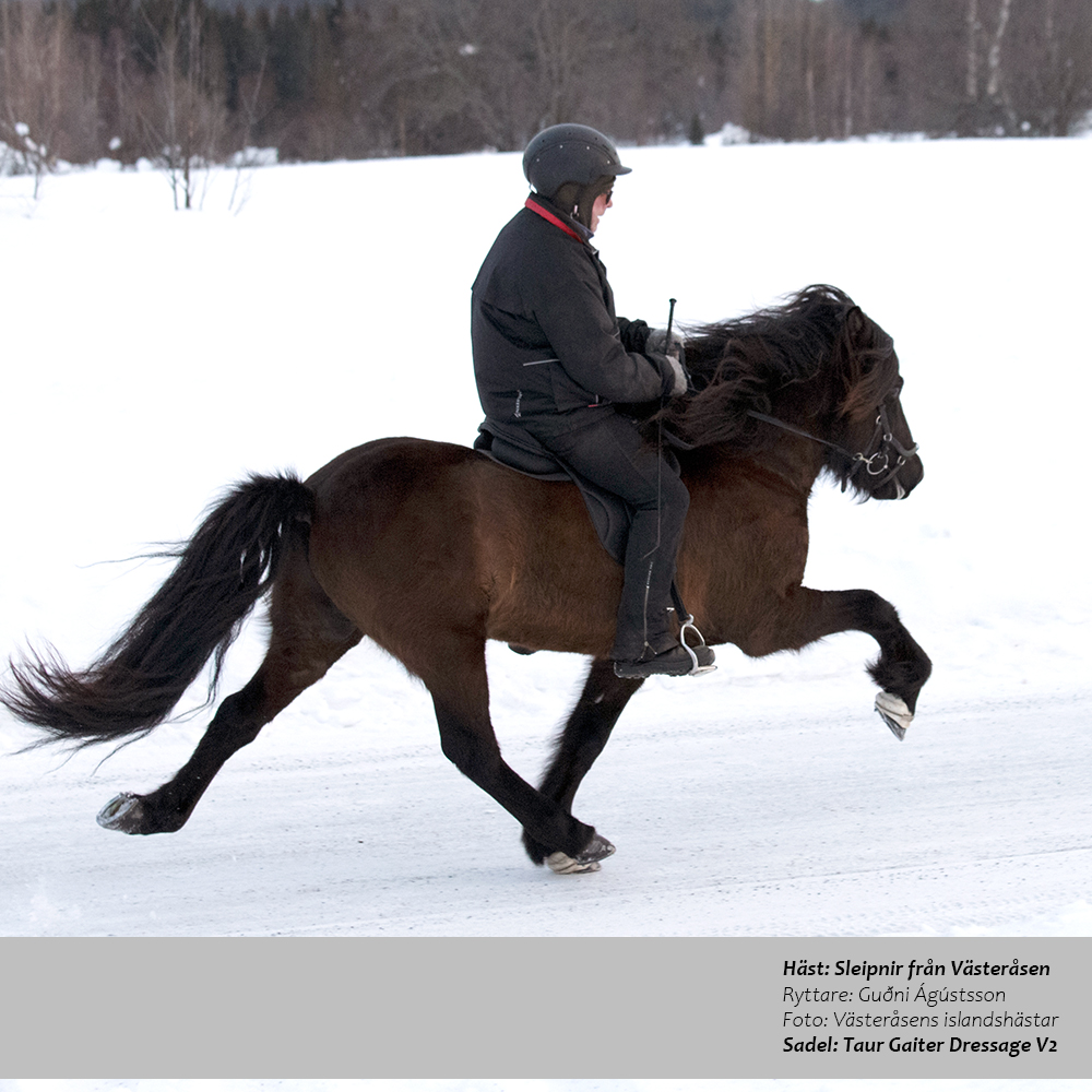 Gaiter Dressage V2 (treeless with padded flaps) LIMITED EDITION, cognac - 5