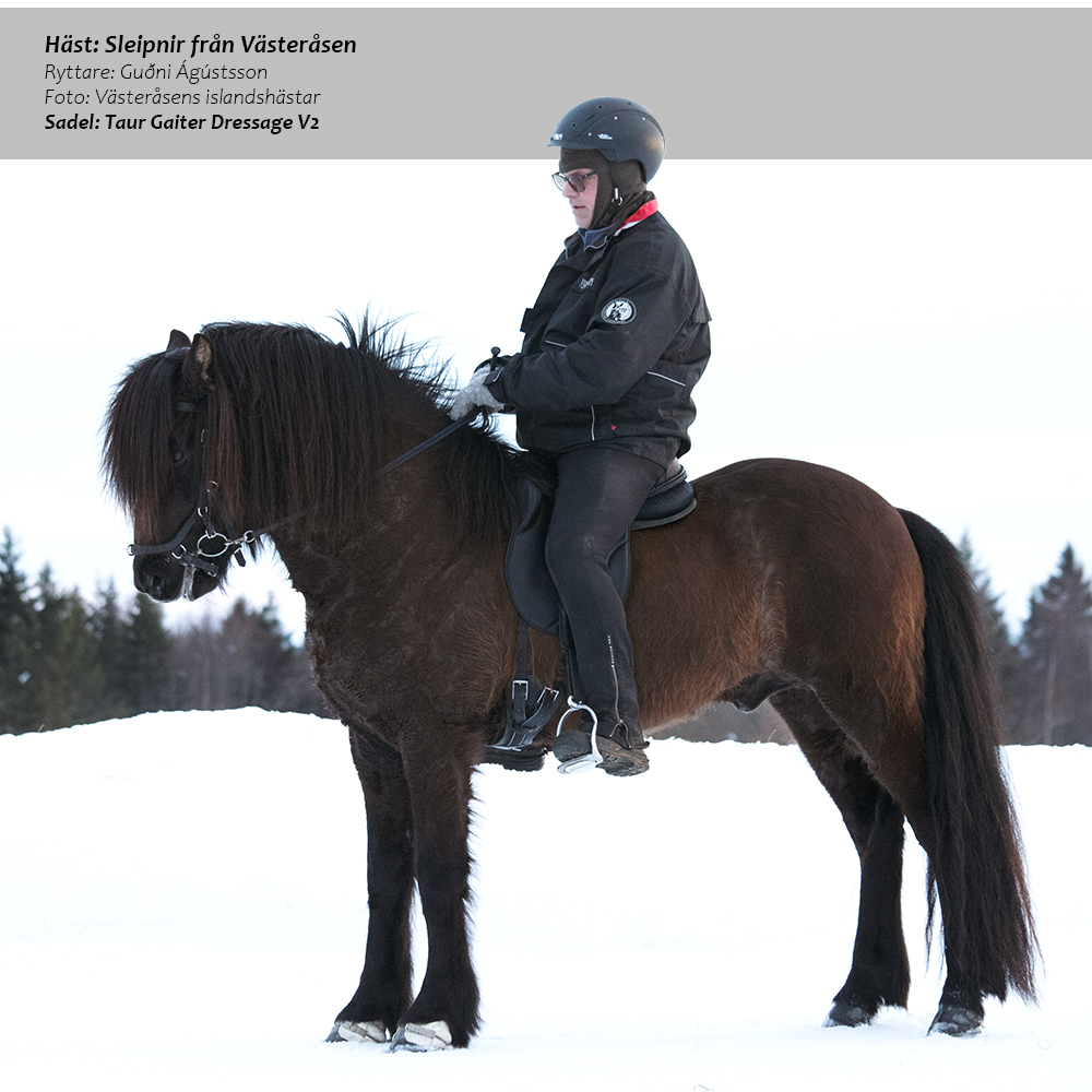 Gaiter Dressage V2 (treeless with padded flaps) LIMITED EDITION, cognac - 8