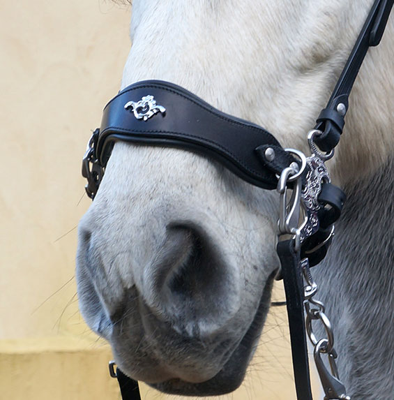 Hackamore nosepart 'Leonie' (with D-rings) - 4