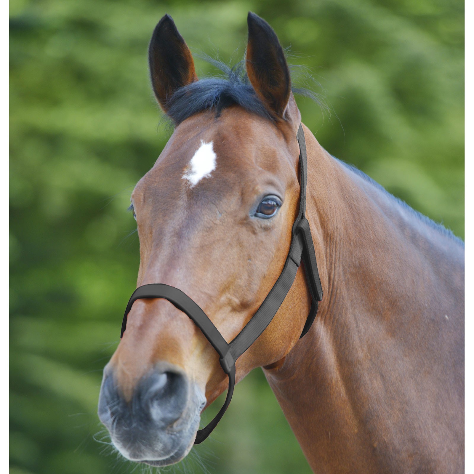 QHP Field halter (without metal buckles)