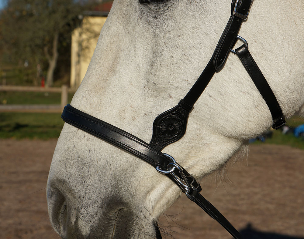 Sidepull anatomiskt med tyglar - F.R.A® 'Dandy', svart - 4