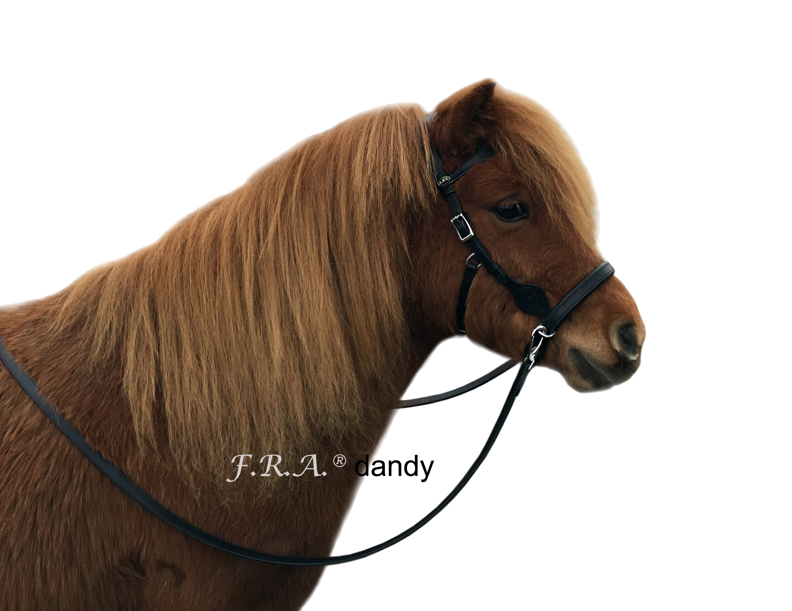 Sidepull anatomiskt med tyglar - F.R.A® 'Dandy', svart - 5