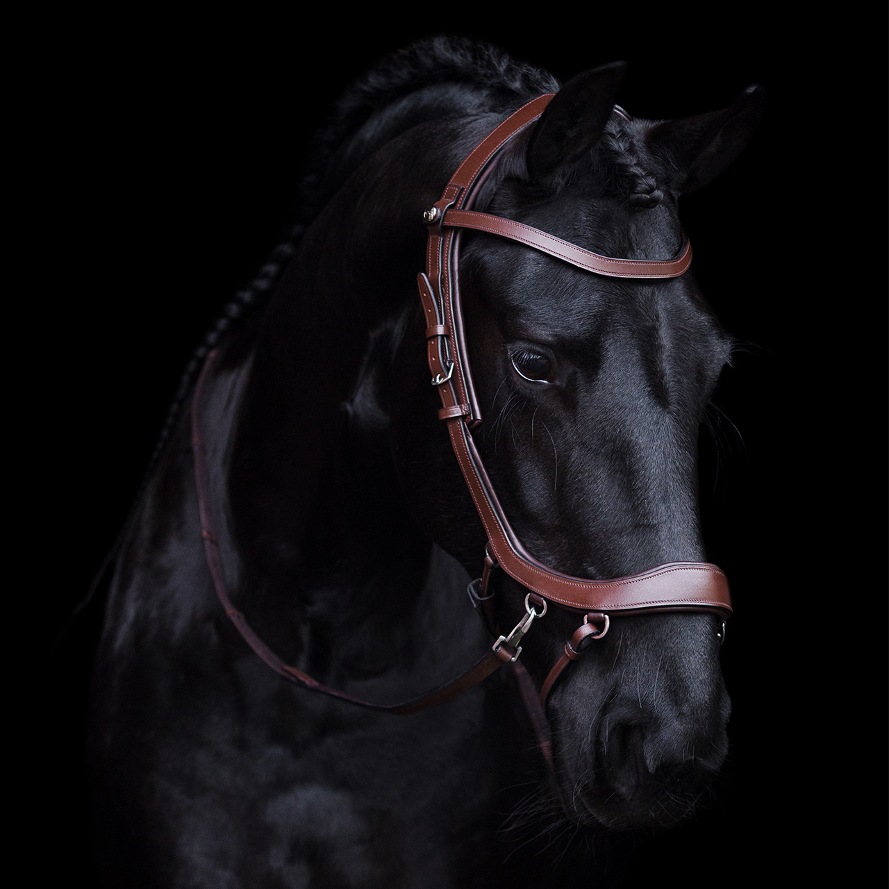 Bitless Bridle / Sidepull PresTEQ Faysport Anatomical, brun - 3