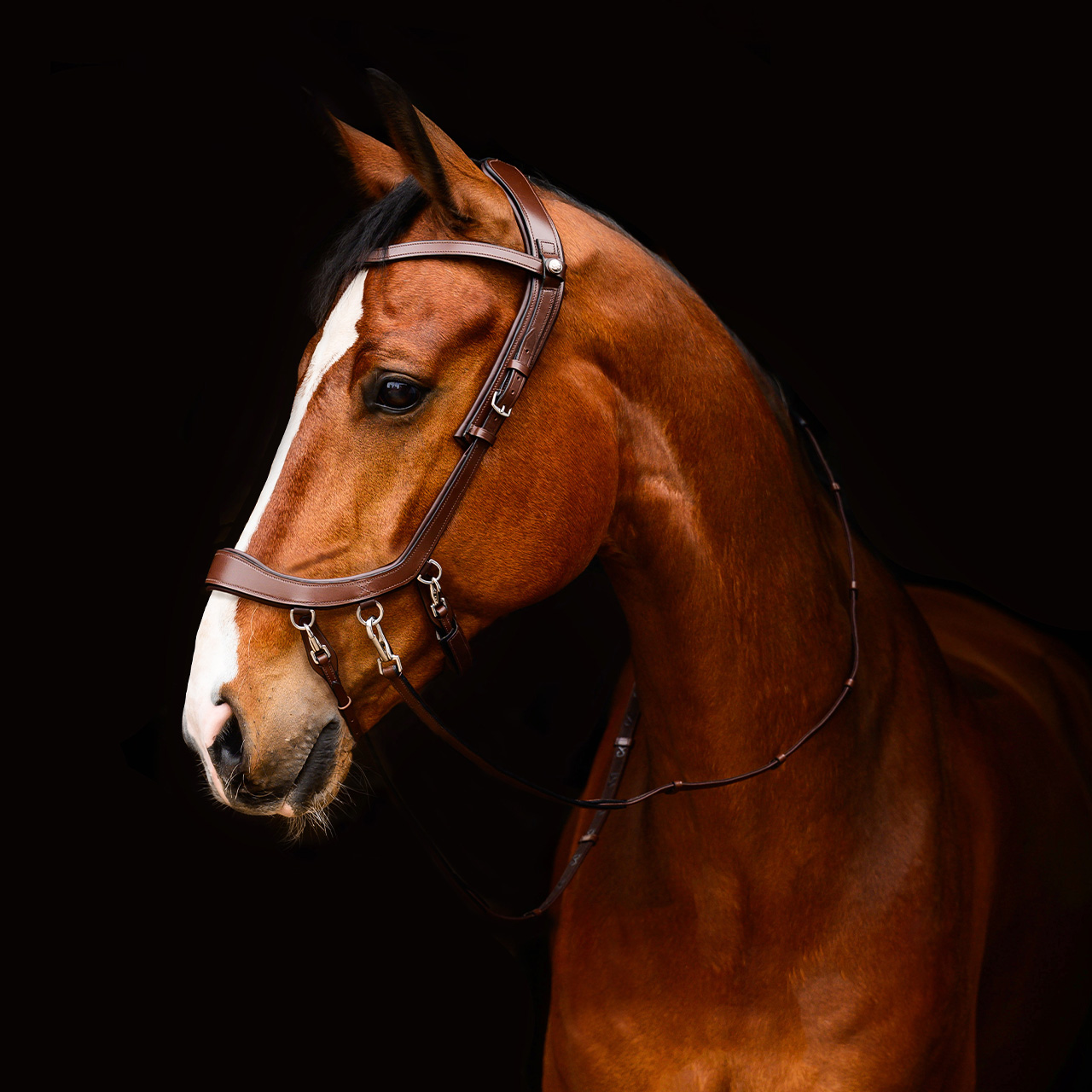 Bitless Bridle / Sidepull PresTEQ Faysport Anatomical, brun - 2