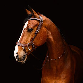 Bitless Bridle / Sidepull PresTEQ Faysport Anatomical, brun