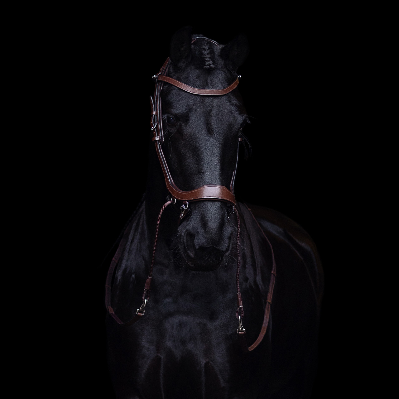 Bitless Bridle / Sidepull PresTEQ Faysport Anatomical, brun - 14