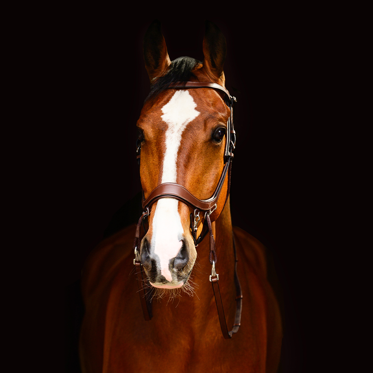 Bitless Bridle / Sidepull PresTEQ Faysport Anatomical, brun - 12