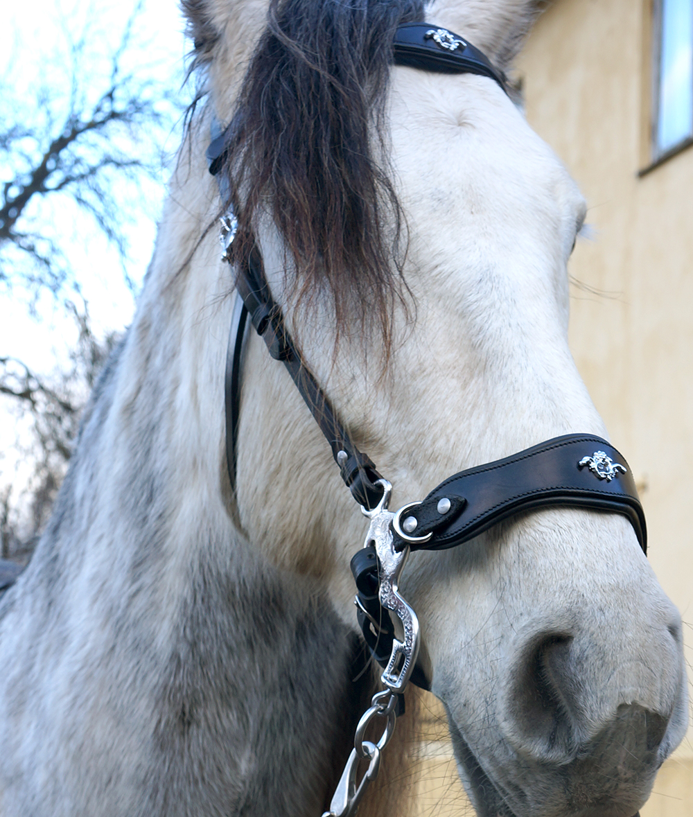 Hackamore bridle Noble by Opux®, black/silver - 3