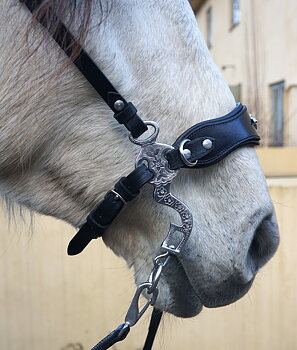 Hackamore bridle Noble by Opux®, black/silver