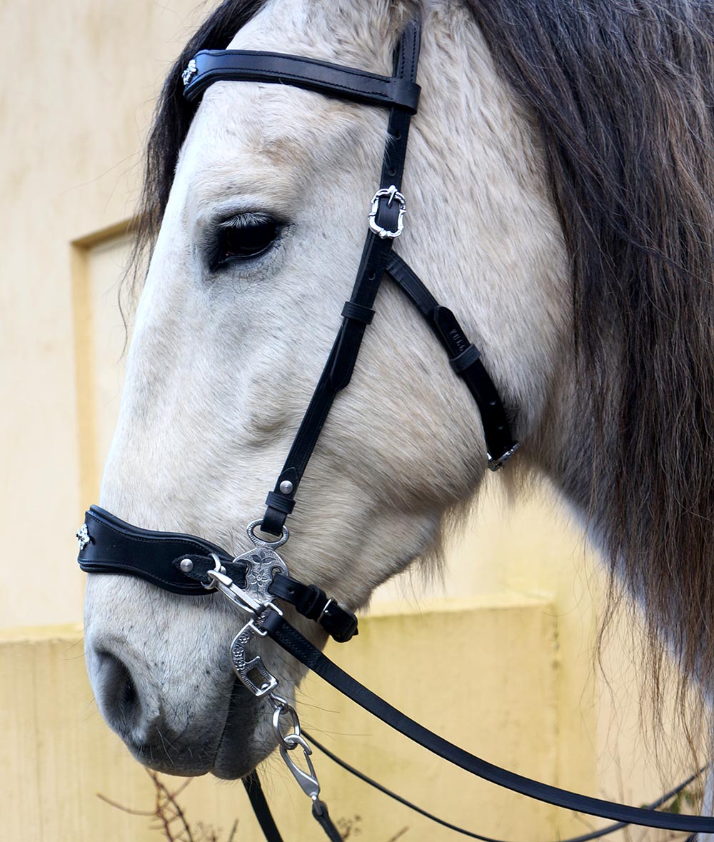 Hackamore bridle Noble by Opux®, black/silver - 5