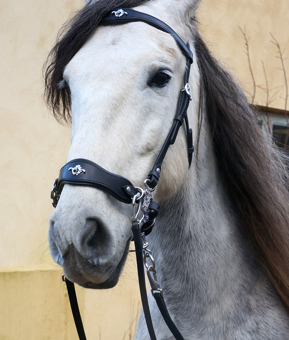 Hackamore bridle Noble by Opux®, black/silver - 4