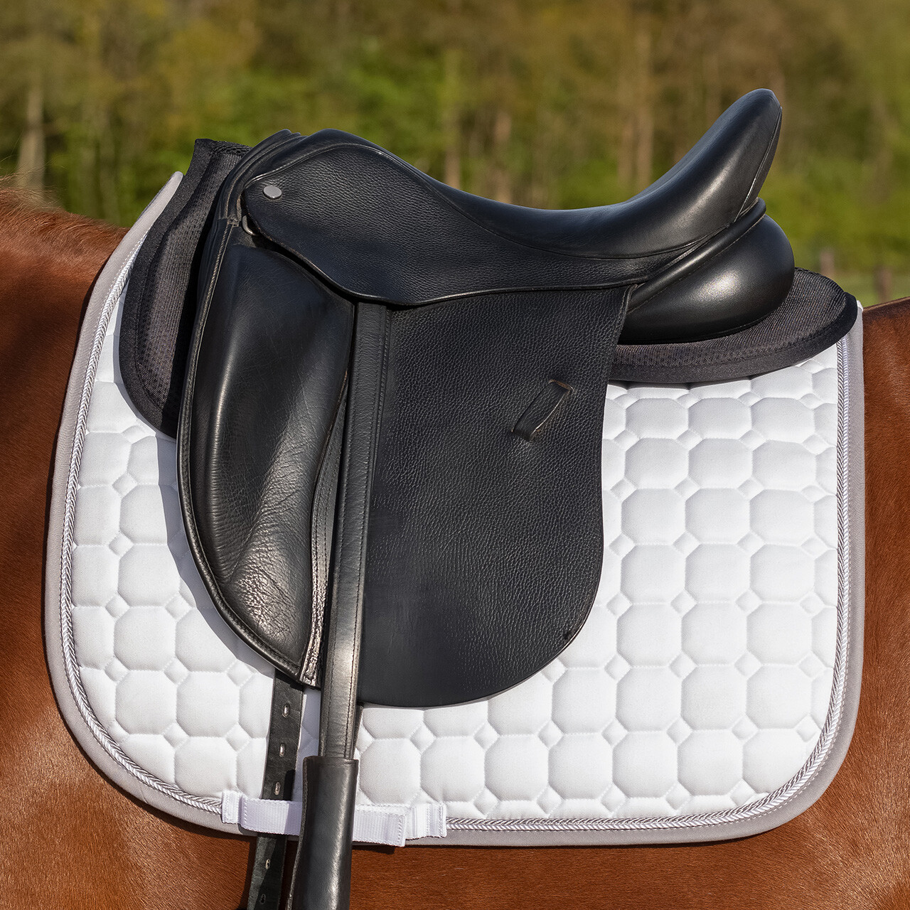 Half pad Air Mesh QHP, pony - 2