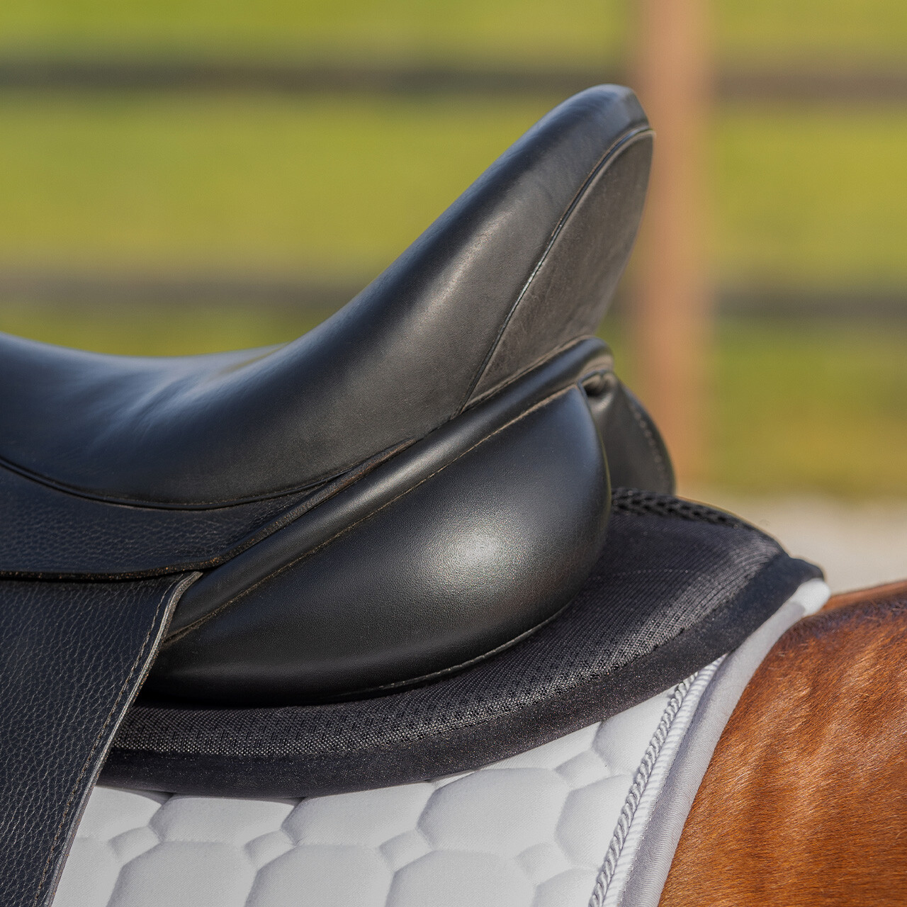 Half pad Air Mesh QHP, pony - 7