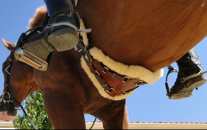 XpandGirth® Dressage Girth Leather - 2
