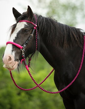 Reptyglar Amber Barefoot®, rosa/svart