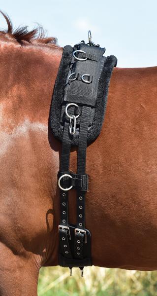 Lunging Pad Plush - 2