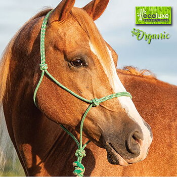 Organic bamboo! EcoLuxe™ Bamboo rope halter incl. lead rope, Tan / Kellygreen