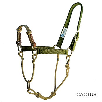 HYBRID HorseHalter® Classic, cactus green, small (demo)