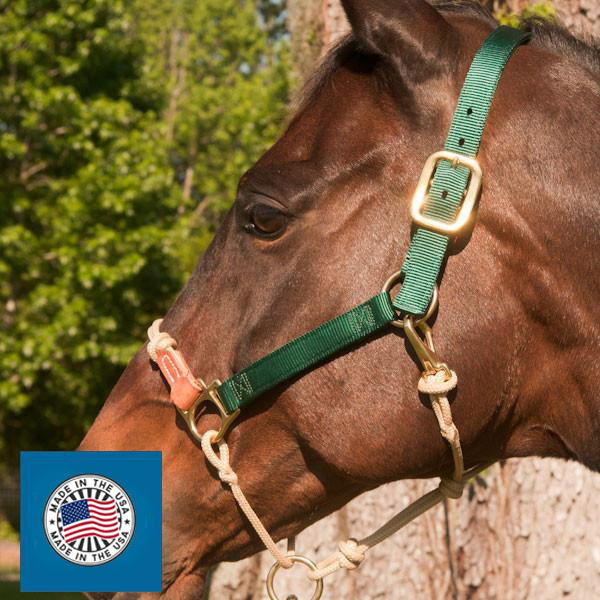 HYBRID HorseHalter® Classic, cactus green - 4