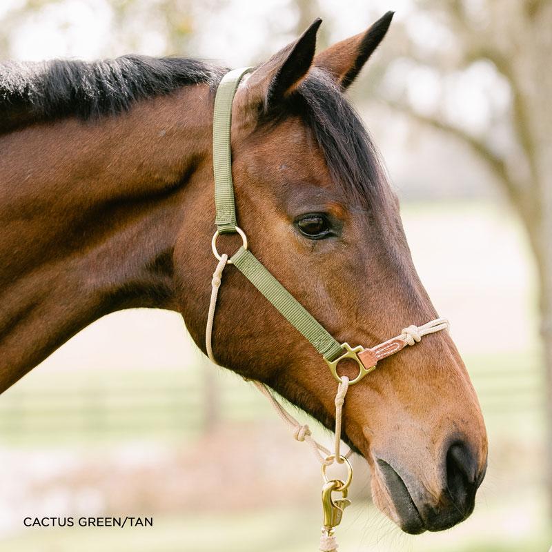 HYBRID HorseHalter® Classic, cactus green