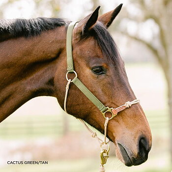 HYBRID HorseHalter® Classic, cactus green, small (demo)