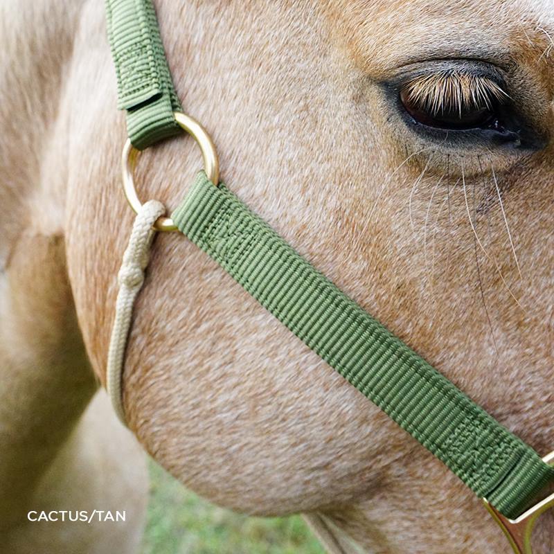 HYBRID HorseHalter® Classic, cactus green - 5