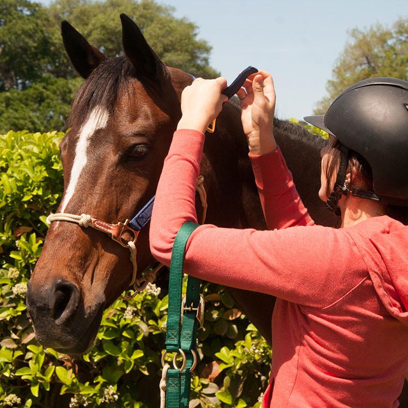 HYBRID HorseHalter® Classic, cactus green - 8