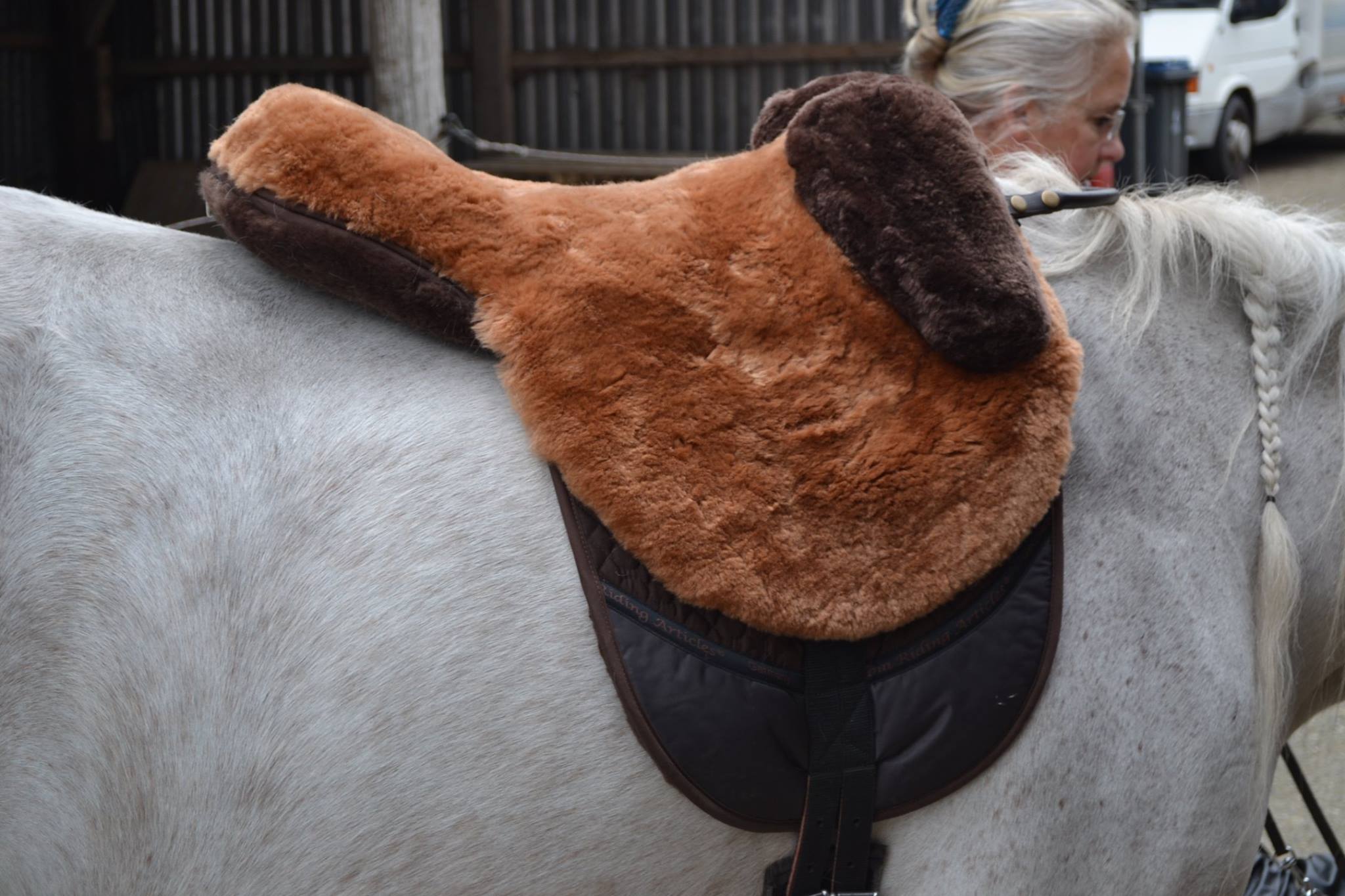 F.R.A® Macon "Extra" sheepskin saddle / bareback saddle with support - 9