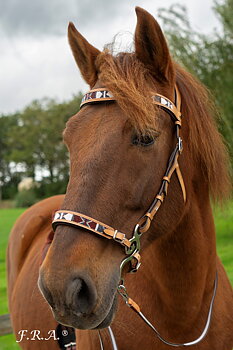 Hackamoreträns F.R.A® 'Esprit Western' med skänklar och tyglar