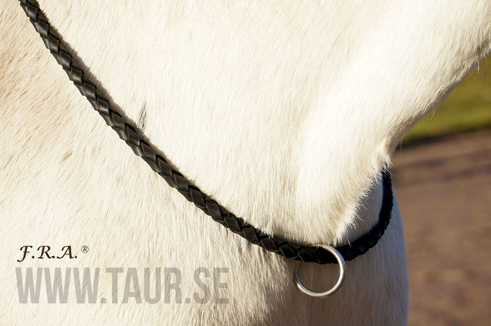 F.R.A® Cordeo / neckstrap 'Kripton', black - 3