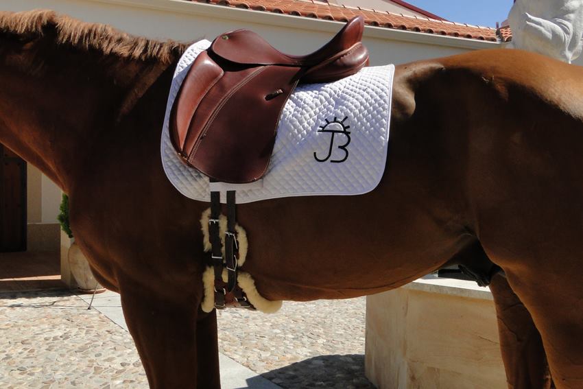 XpandGirth® Dressage Girth SLIM Leather - 6