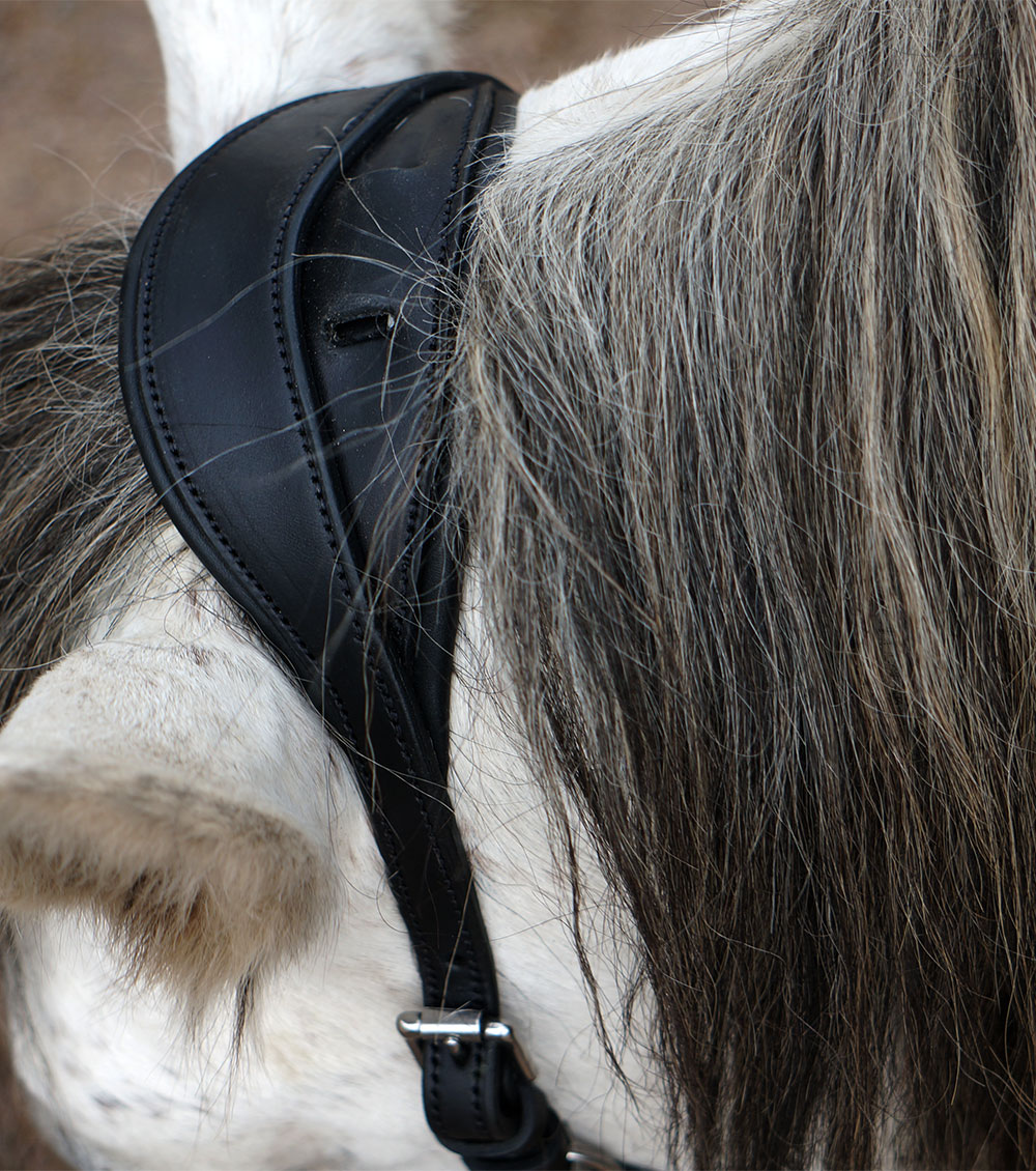 Anatomical cavesson Marjoman Carolina DeLuxe, for riding and lunging, black - 4
