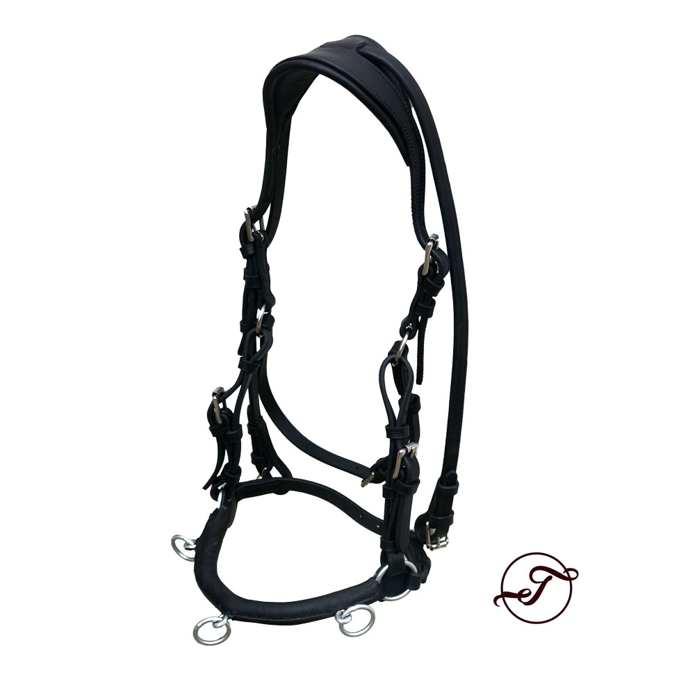 Anatomical cavesson Marjoman Carolina DeLuxe, for riding and lunging, black