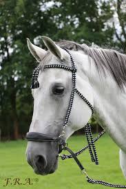 F.R.A® Bodanza bridle incl. reins