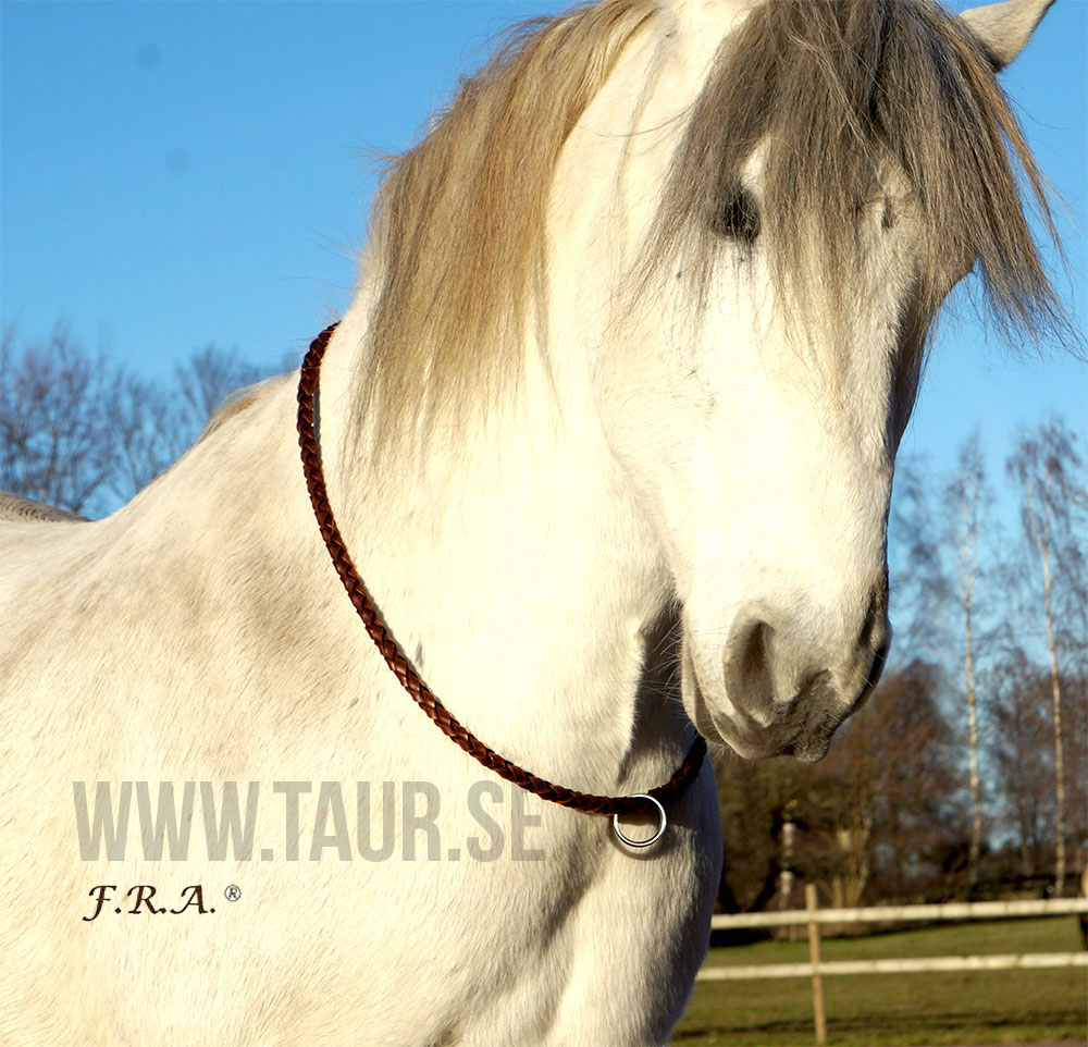 F.R.A® Cordeo / neckstrap 'Kripton', brown - 4