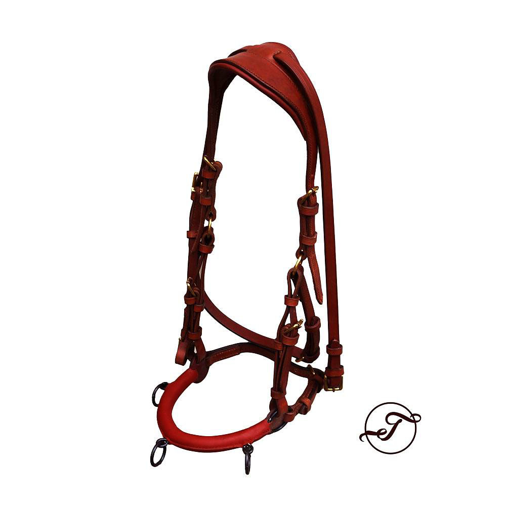 Anatomical cavesson Marjoman Carolina DeLuxe, for riding and lunging, havana - 2