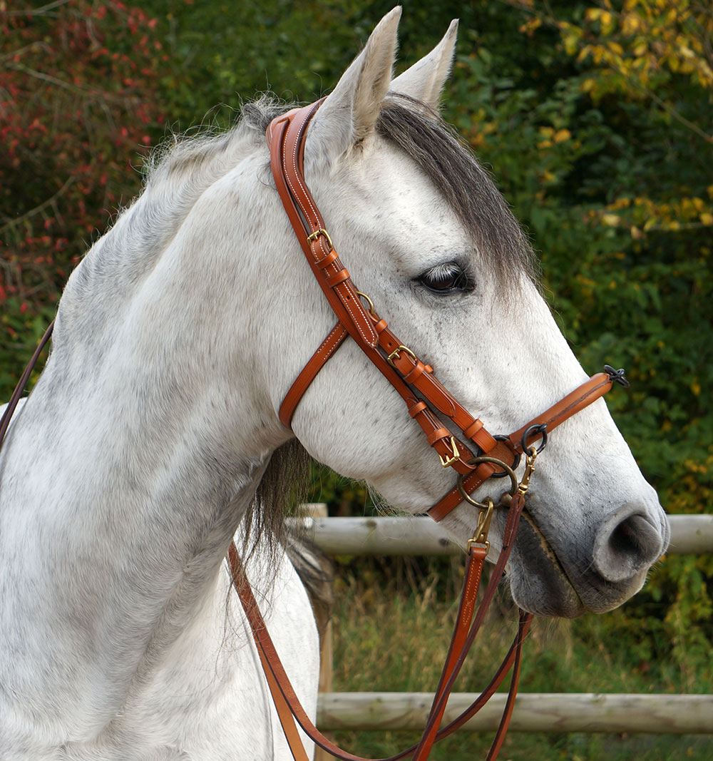 Anatomical cavesson Marjoman Carolina DeLuxe, for riding and lunging, natural