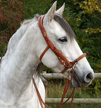 Anatomisk kapson Marjoman "Carolina DeLuxe", för ridning och longering, natur