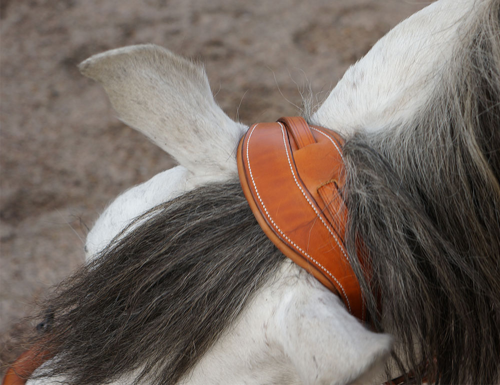 Anatomical cavesson Marjoman Carolina DeLuxe, for riding and lunging, natural - 3