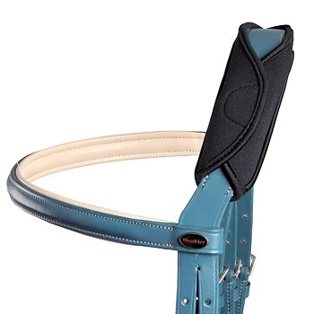  Gel Poll Guard