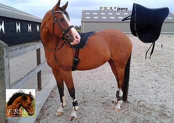 Barbackasadel / ripad F.R.A® Jeany Denim (Close Contact), denimblå