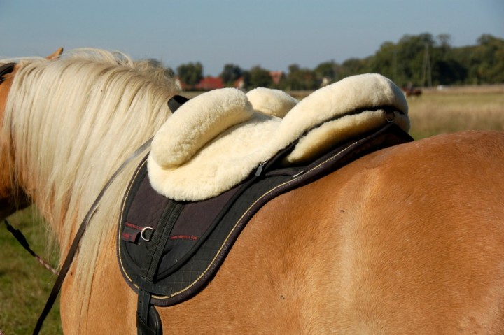 Horsedream® Bareback saddle / lambskin saddle Premium Plus Natural S/M - 2