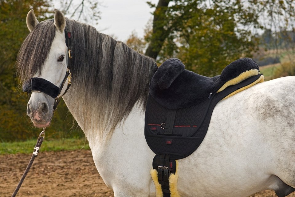 Horsedream® Bareback saddle / lambskin saddle Premium Plus Natural S/M - 6