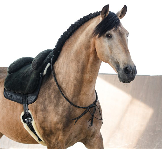 Horsedream® Bareback saddle / lambskin saddle Iberica Plus Brown S/M - 17