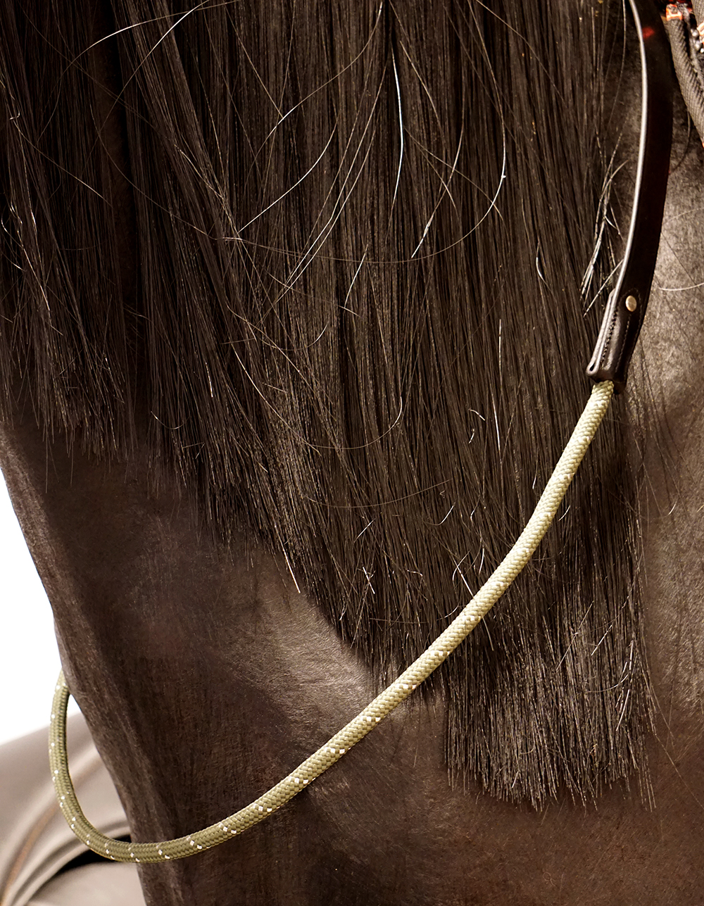 Balance Rein / neck ring / cordeo, QHP (four sizes!), olive - 2