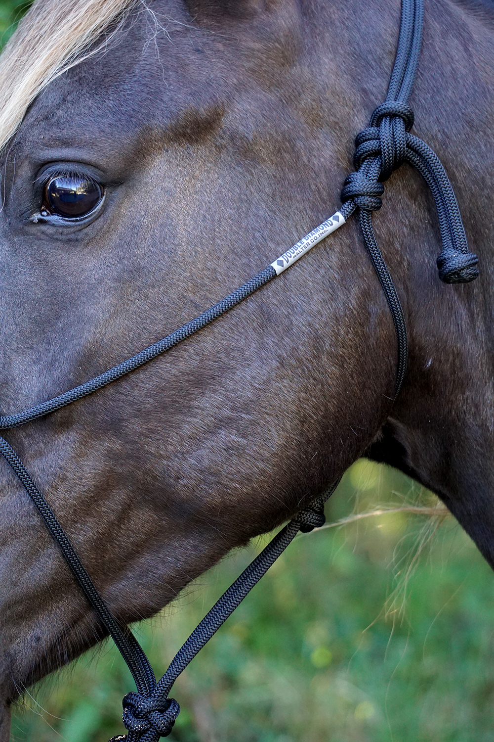 Ropehalter Buck Brannaman #124, black - 3