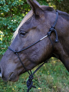 Ropehalter Buck Brannaman #124, black